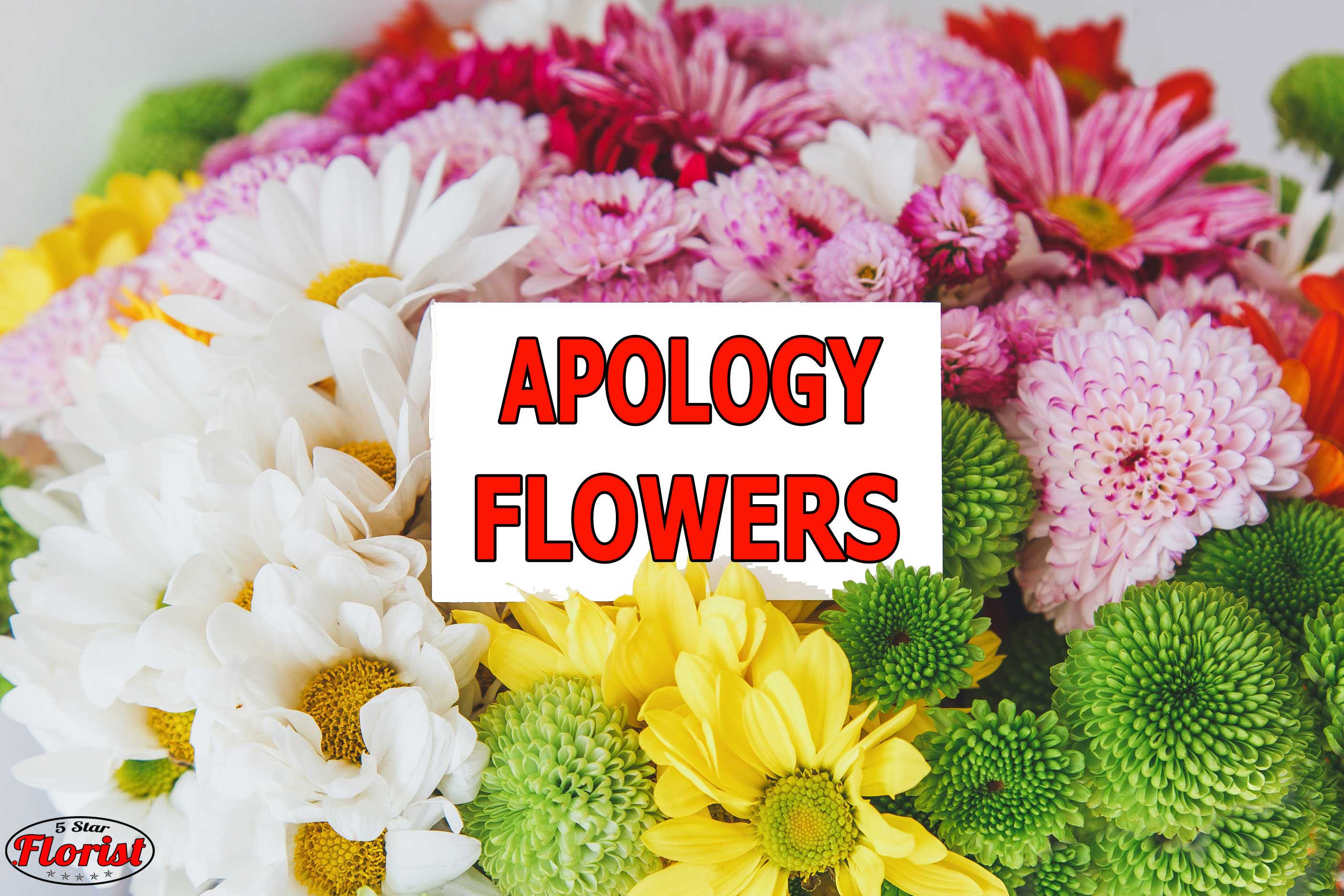 apology flowers Rancho Cordova